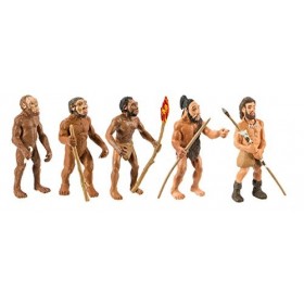 Safari Ltd Evolution of Man