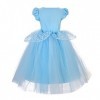 Lito Angels Deguisement Robe Princesse Cendrillon avec Accessories Enfant Fille, Anniversaire Fete Carnaval Halloween Costume