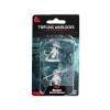 WizKids D&D Nolzurs Marvelous Miniatures : fantassin draconien et mages Donjons et Dragons Miniatures non peintes