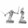 Pechetruite 2 x Nagendra Leaders - Reaper Bones Figurine pour Jeux de Roles Plateau - 77693