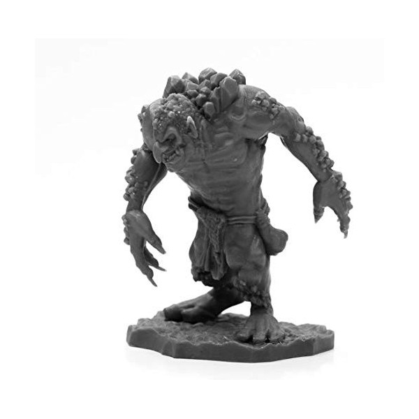 Pechetruite 1 x Rock Troll - Reaper Bones Figurine pour Jeux de Roles Plateau - 44002