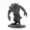 Pechetruite 1 x Rock Troll - Reaper Bones Figurine pour Jeux de Roles Plateau - 44002