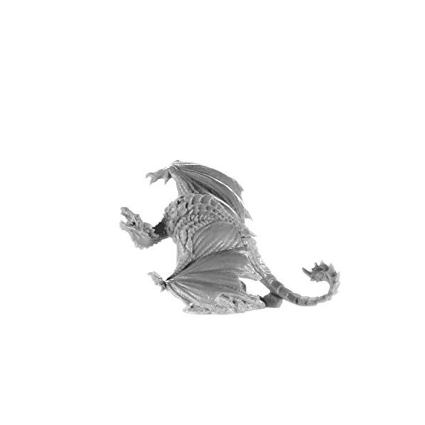 Pechetruite 1 x WYVERN - Reaper Bones Figurine pour Jeux de Roles Plateau - 77688