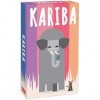 Helvetiq , Kariba , Card Game , Ages 6+ , 2 - 4 Players