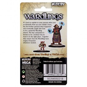 WizKids Wardlings Boy Wizard and Imp Painted Fantasy Miniatures Set
