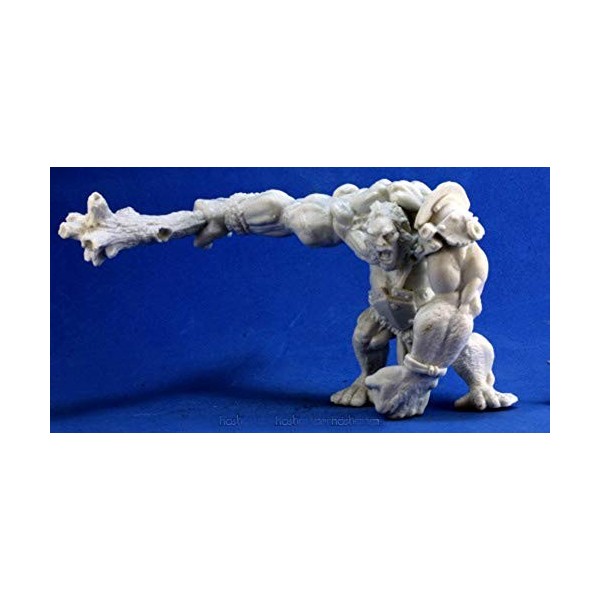 Pechetruite 1 x Golan GEANT des COLINES - Reaper Bones Figurine pour Jeux de Roles Plateau - 77314