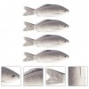 TOYANDONA 4 pièces Simulé poisson plastique jouet poisson artificiel modèle