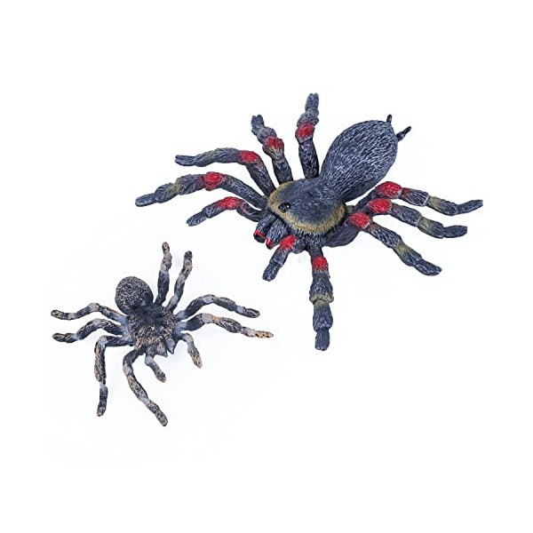 SIENON Lot de 2 figurines daraignées réalistes - Jouet à insectes - Modèle daction daraignée - Giant Whiteknee Tarantula -