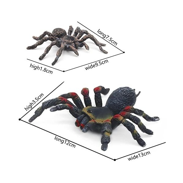 SIENON Lot de 2 figurines daraignées réalistes - Jouet à insectes - Modèle daction daraignée - Giant Whiteknee Tarantula -