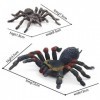 SIENON Lot de 2 figurines daraignées réalistes - Jouet à insectes - Modèle daction daraignée - Giant Whiteknee Tarantula -