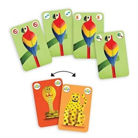 DJECO&nbsp;–&nbsp;Cartes Recto Verso