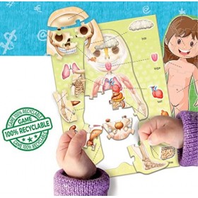 Educa - Le Corps Humain Contenu Anglais pédagogique | Apprendre est Amusant 18842