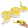 Zappi Co Golden Python Serpent en caoutchouc réaliste – Respectueux de lenvironnement et non toxique, parfait pour Halloween