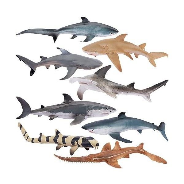 TOYMANY Lot de 8 figurines danimaux de requin océan - Jouet de requin marin avec requin marteau, requin blanc, requin citron