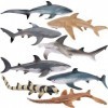 TOYMANY Lot de 8 figurines danimaux de requin océan - Jouet de requin marin avec requin marteau, requin blanc, requin citron