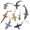TOYMANY Lot de 8 figurines danimaux de requin océan - Jouet de requin marin avec requin marteau, requin blanc, requin citron