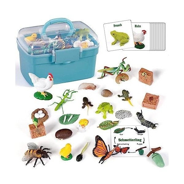 KmmiFF Cycle de vie - Lot de 25 figurines danimaux - Insectes - Pour grenouille, papillon, poulet, mante, abeille, plantes p