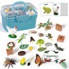 KmmiFF Cycle de vie - Lot de 25 figurines danimaux - Insectes - Pour grenouille, papillon, poulet, mante, abeille, plantes p
