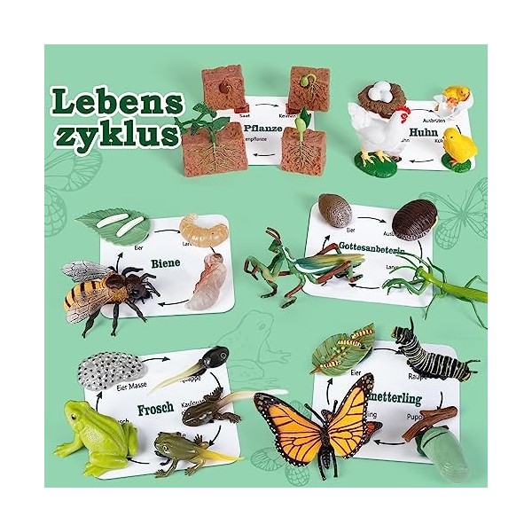 KmmiFF Cycle de vie - Lot de 25 figurines danimaux - Insectes - Pour grenouille, papillon, poulet, mante, abeille, plantes p