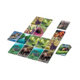 Ecosystème Forêt - Jeu de société - Version française