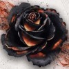 Asmodée Italia Black Rose Wars - Compendium Expansion 