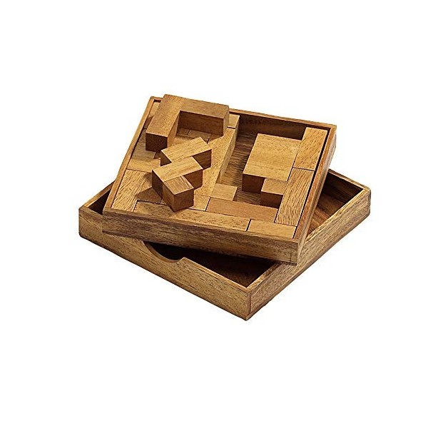 Philos - 6215.0 - Puzzle - Le Jeu de la Vie