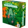 Studio H - Chasse aux Gigamons