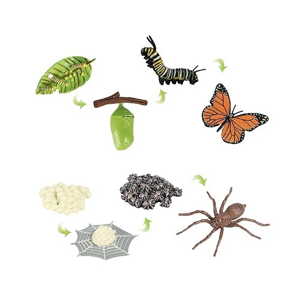 SKHAOVS 2 Sets Cycle De Vie des Insectes, Figurines dinsectes pour Cycle de Vie des Papillons et Araignée, Apprentissage ens