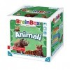 Asmodee - BrainBox: Animaux 2022 , Jeu pour Apprendre et Former lesprit, 1+ Joueurs, 8+ Ans, Ed. en Italien