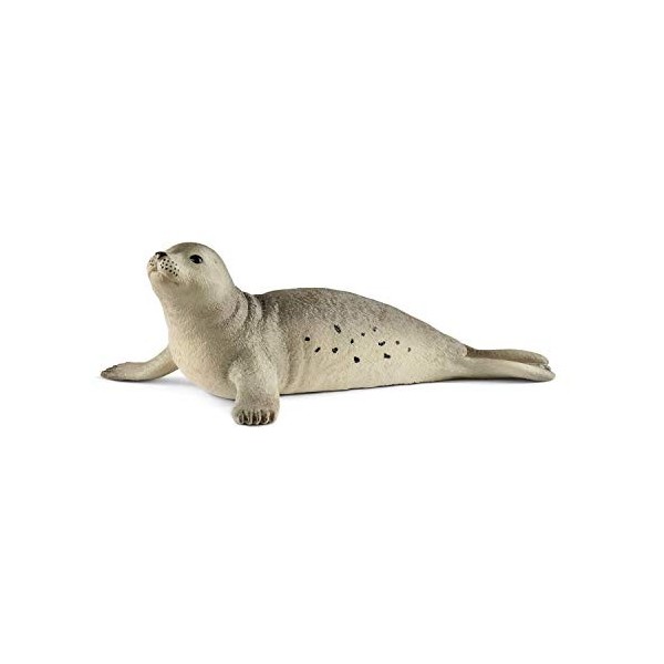 Schleich 14801 Phoque, dès 3 ans, Wild Life - figurine, 11,2 x 6,5 x 4,2 cm