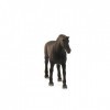 Schleich- Figurine Étalon Pur-Sang Anglais Horse Club, 13856, Multicolore