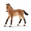 Schleich 13804 Poulain Tennessee Walker, dès 3 ans, Farm World - figurine, 8,4 x 3 x 7,9 cm