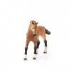 Schleich 13804 Poulain Tennessee Walker, dès 3 ans, Farm World - figurine, 8,4 x 3 x 7,9 cm