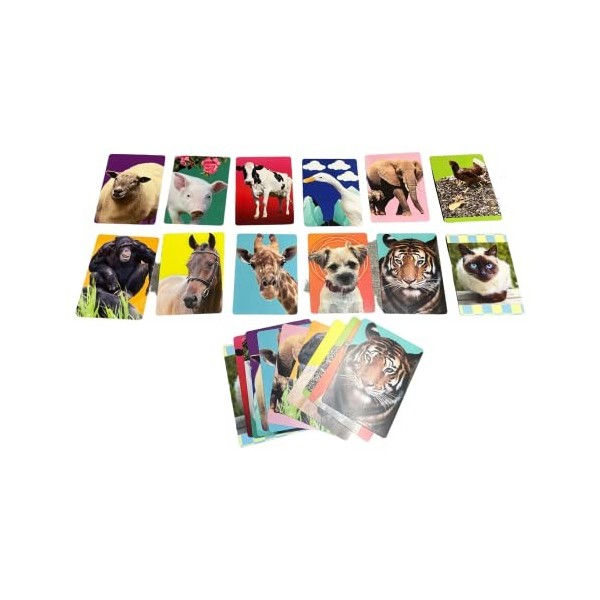 Chat & Chuckle Pack Second Edition Beautiful Animals - Réminiscence, invites de conversation, jeux - Pack Compendium dactivi
