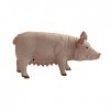 Mini réplique de cochon de Deluxebase - Petite figurine réaliste qui en fait un jouet idéal pour les enfants