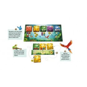 Funny Fox - Rainforest