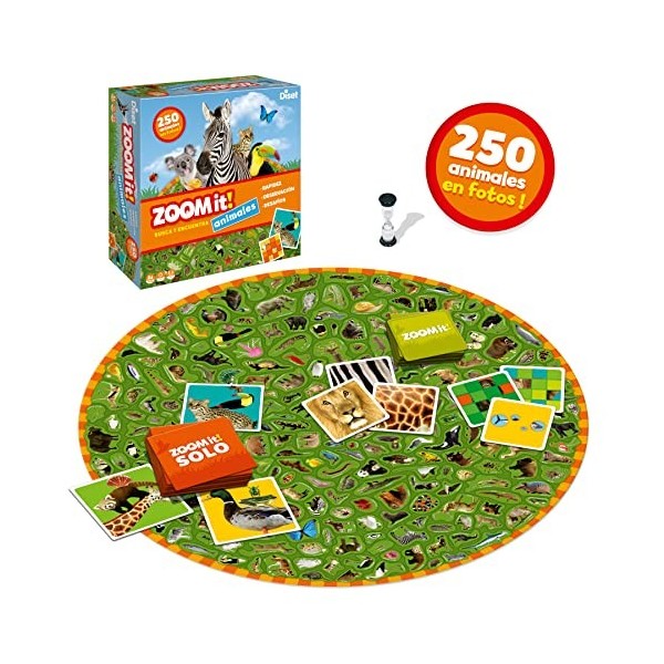 Diset Zoom It 63799 Jeu éducatif pour enfants à partir de 5 ans, Multicolore