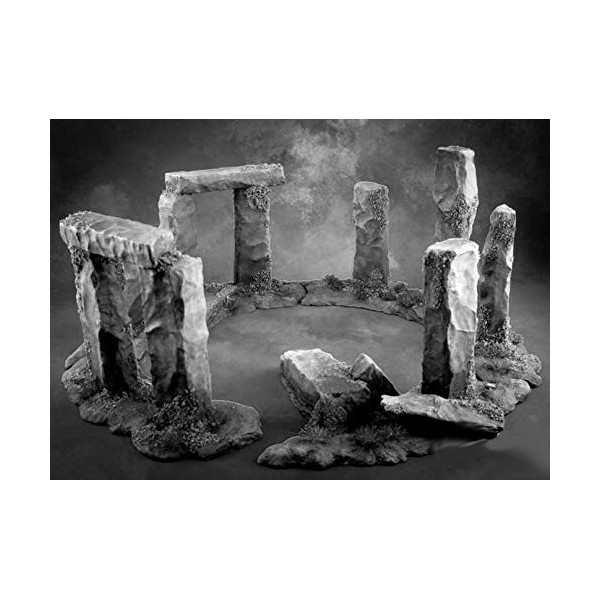 1 x Mystic Circle - Reaper Bones Figurine pour Jeux de Roles Plateau - 77556