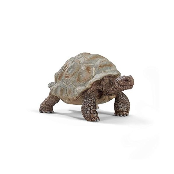 Schleich- Figurine Tortue géante Wild Life, 14824, Multicolore