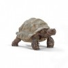 Schleich- Figurine Tortue géante Wild Life, 14824, Multicolore