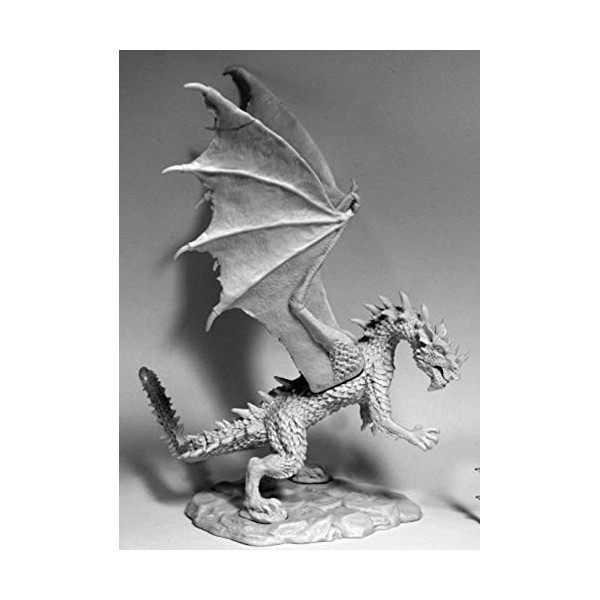 Pechetruite Miniatura Ghost King - Reaper Bones 77161, 50mm Per GdR E Wargame