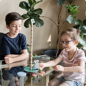 ROO GAMES Koala Walla Bing Bang – Jeu de dés Actifs et Rapides – Faites Monter et bouger Les Enfants – Jeu de compétences mot