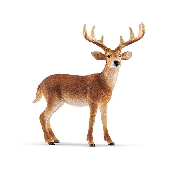 Schleich 14818 Cerf de Virginie, dès 3 Ans, Wild Life - Figurine, 11 x 5 x 10 cm