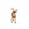 Schleich 14818 Cerf de Virginie, dès 3 Ans, Wild Life - Figurine, 11 x 5 x 10 cm