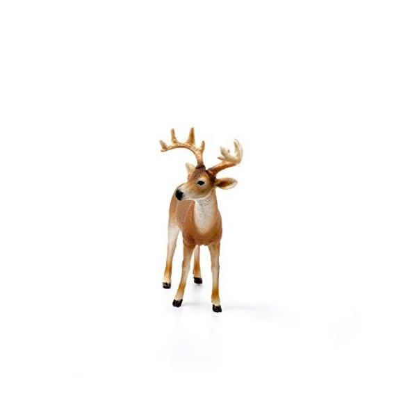 Schleich 14818 Cerf de Virginie, dès 3 Ans, Wild Life - Figurine, 11 x 5 x 10 cm