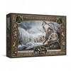 CMON A Song of Ice and Fire Table Top Miniatures War Frozen Shore Hunters Unit Box,Jeu de stratégie pour adolescents et adult