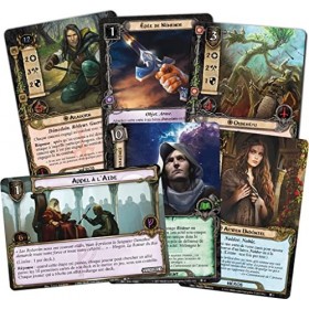 Fantasy Flight Games - Le Seigneur des Anneaux JCE : Le Réveil dAngmar - Extension Héros - Version Française