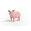 Schleich 13933 Cochon Farm World Rose