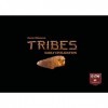 TRIBES - EARLY CIVILIZATION