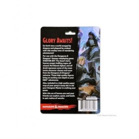 D&D Icons of The Realms: Epic Level Starter , DnD miniatures